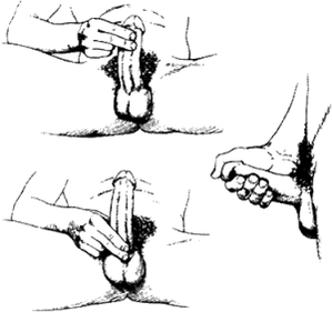 masturbesyon at masahe para sa pagpapalaki ng ari